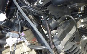 HARLEY XL883N 2019