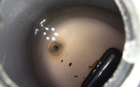 HONDA C90 SUPER CUB E HA02