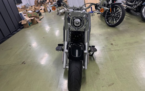 HARLEY FLFBS 2024 YGK