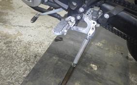 YAMAHA WR250X 2020 DG15J