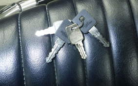 HARLEY XL1200XS 2020