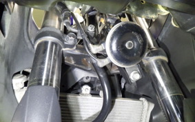 YAMAHA YZF-R25 RG10J