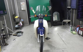 HONDA C110 SUPER CUB 2009 JA44