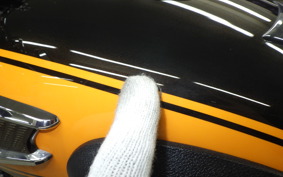 KAWASAKI W800 2016 EJ800A