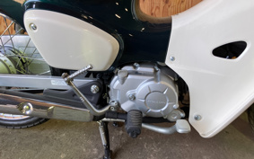 BMW R18 100th 2023 0L11