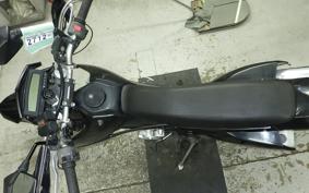 KAWASAKI KLX250D TRACKER X 2025 LX250V