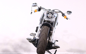 HARLEY FLFBS 2018 YGK