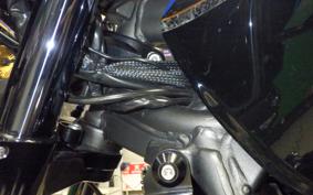 KAWASAKI ZRX1200 D 2016 ZRT20D
