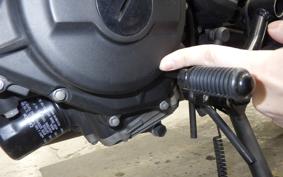 KAWASAKI ELIMINATOR400-3 2024 EL400A