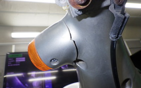 HONDA LITTLE CUB 2020 C50