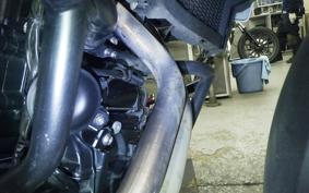 BMW F900GS 2024