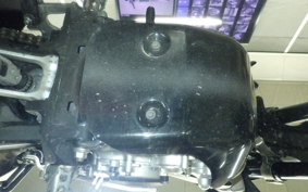 YAMAHA WR250X 2024 DG15J