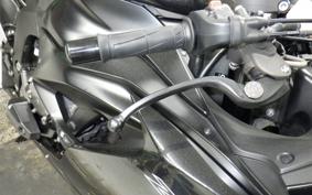 KAWASAKI NINJA ZX-6R A 2019 ZX636G