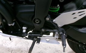 KAWASAKI NINJA ZX-6R 2020 ZX636G