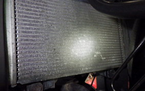 KAWASAKI NINJA 250R EX250K