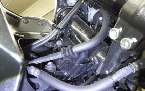 HONDA ｸﾞﾛﾑ-2 2006 JC92