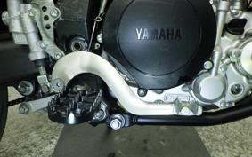 YAMAHA WR250X DG15J