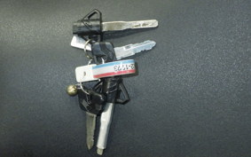 YAMAHA YZF-R15 2021 RG86J