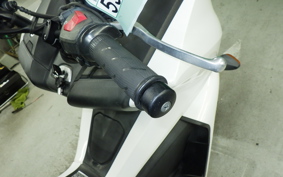 HONDA FAZE 2000 MF11