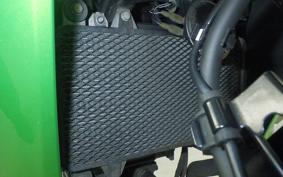 KAWASAKI VERSYS-X 250 A LE250D