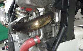 YAMAHA WR250X DG15J