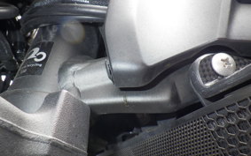 KAWASAKI Z900RS CAFE 2022 ZR900K