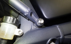 TRIUMPH DAYTONA 675 2011