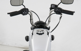 HARLEY XL883N 2013 LE2