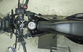 HONDA CRF250 RALLY A 2010 MD44