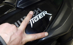 TRIUMPH TIGER 800 2014