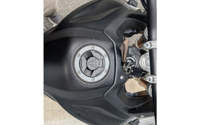 TRIUMPH TIGER 900 RALLY PRO 2024 TRE67D