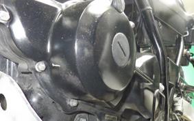 YAMAHA TW200 Gen.2 2007 DG07J