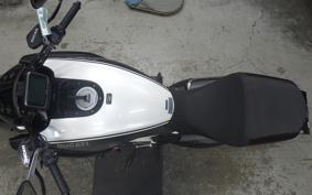 DUCATI DIAVEL AMG 2013