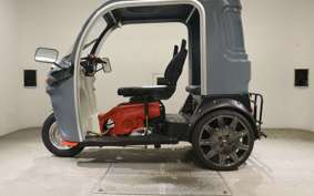 OTHER UNREGISTERED MODEL by BDS TRIKE250 2024