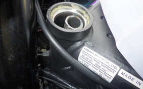 YAMAHA YZF-R25 A RG95J