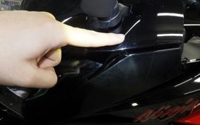 KAWASAKI NINJA 1000SX 2024 ZXT02K