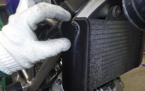 HONDA VTR 250 2023 MC33