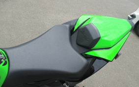 KAWASAKI NINJA ZX-6R 2020 ZX636G