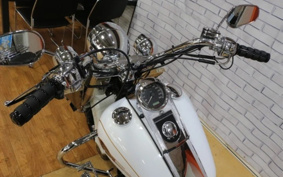 HARLEY FLSTC 2007 BW5