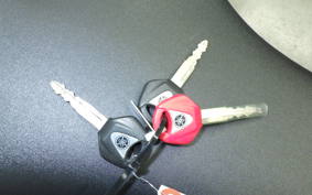 YAMAHA FZ1 FAZER 2015 RN21J