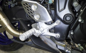 YAMAHA YZF-R25 RG10J