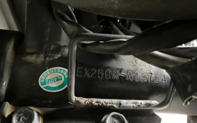 KAWASAKI NINJA 250R EX250K