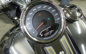 HARLEY FLSTFI1920 2025