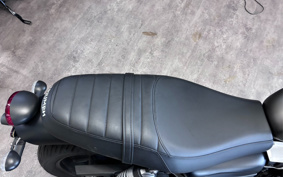 TRIUMPH STREET TWIN 2023 DAD74G