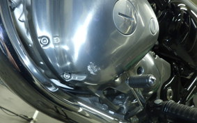 KAWASAKI W800 2023 EJ800E