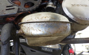 HONDA NOVIO 2025 PM50