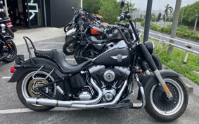 HARLEY FLSTFB 2010 JN5