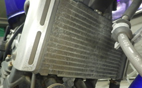 HONDA HORNET 250 2008 MC31