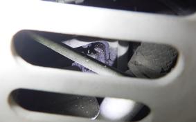 HONDA GYRO X 2007 TD01