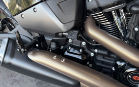 HARLEY FXDR114 2019 YVK